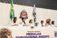 Prêmio Theodosina Ribeiro 1