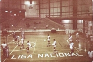 Volei (3)